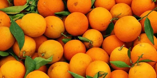 naranjas 3
